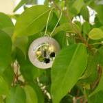 Secret Garden-blossom Wheel, Chic Dangle Earrings